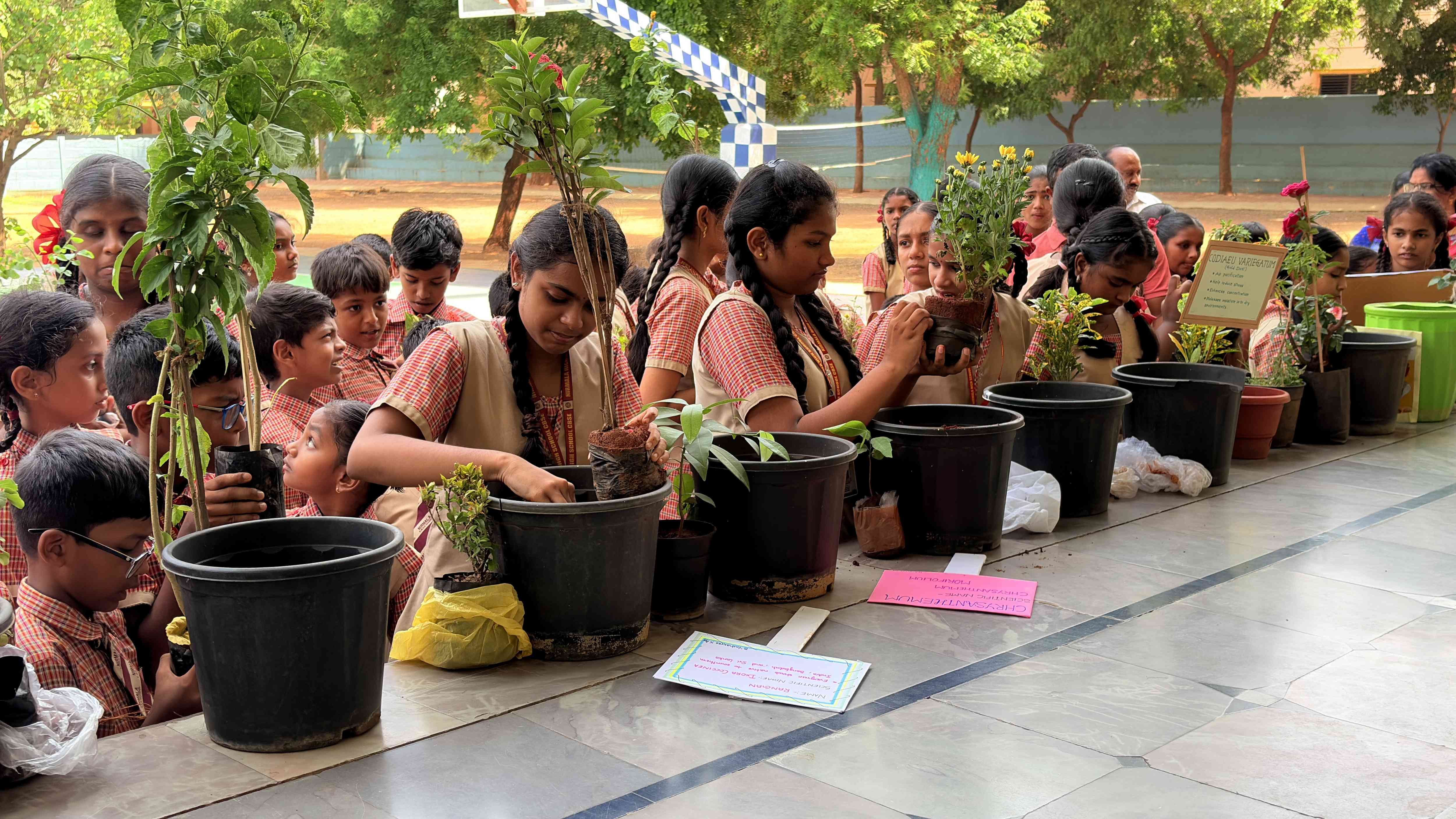 Plantation Day